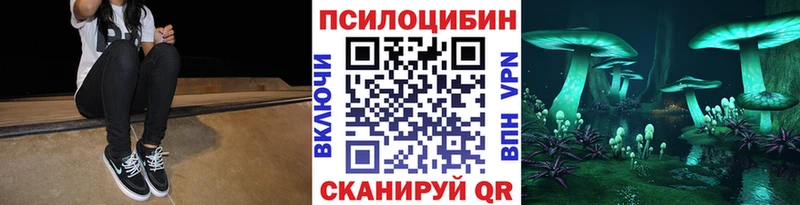 Псилоцибиновые грибы Psilocybe  Лабытнанги 