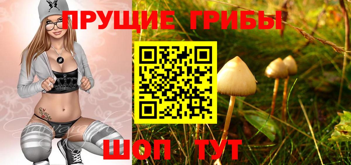 Псилоцибиновые грибы Psilocybine cubensis Лабытнанги