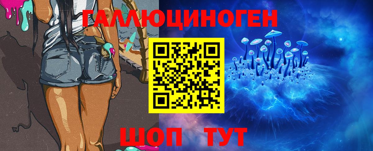 Лабытнанги  Галлюциногенные грибы Psilocybine cubensis  Вход с VPN 