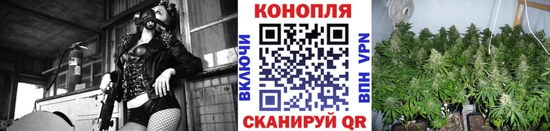 Канабис план  Лабытнанги 